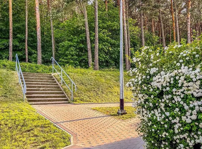 Wyjatkowy Przy Lesie By Renters * Gdyně